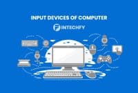 Input Devices of Computer: Definition, Classification, Types and Role in Computer Systems