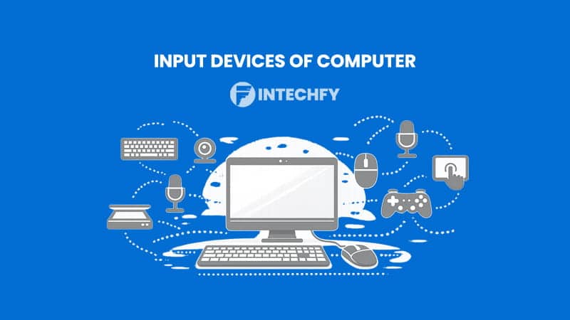 Input Devices of Computer: Definition, Classification, Types and Role in Computer Systems