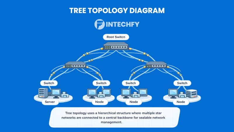 Tree Topology Diagram Explained