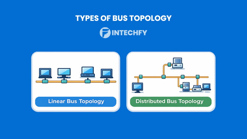 Types of Bus Topology