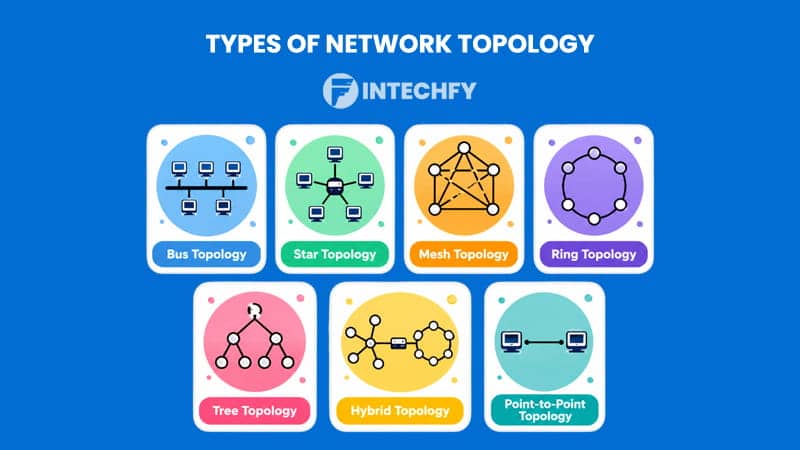 Types of Network Topology