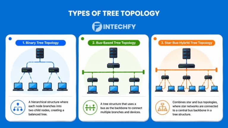 What Is Tree Topology? Structure, Types, Advantages, Disadvantages, and ...