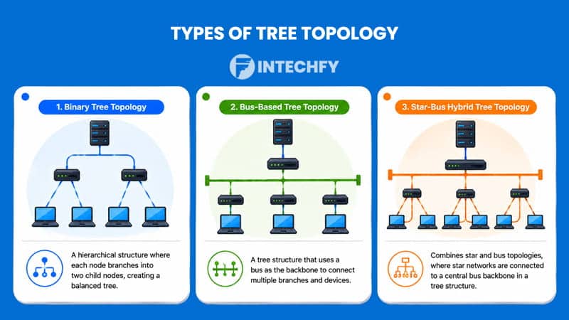 Types of Tree Topology