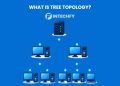What Is Tree Topology? Structure, Types, Advantages, Disadvantages, and Real-World Uses