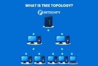 What Is Tree Topology? Structure, Types, Advantages, Disadvantages, and Real-World Uses