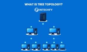 What Is Tree Topology? Structure, Types, Advantages, Disadvantages, and Real-World Uses