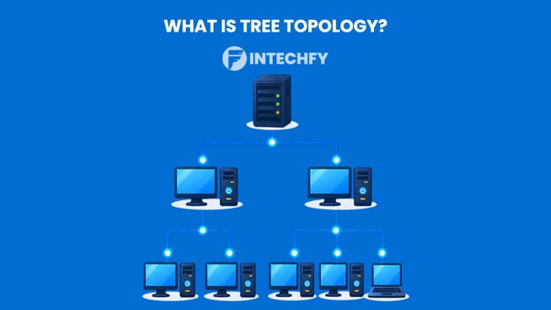 What Is Tree Topology? Structure, Types, Advantages, Disadvantages, and Real-World Uses