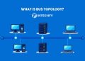 What Is Bus Topology? How It Works, Advantages, Disadvantages, and Examples