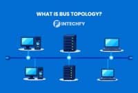 What Is Bus Topology? How It Works, Advantages, Disadvantages, and Examples
