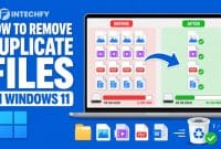 How to Remove Duplicate Files in Windows 11 and Free Up Storage Space
