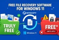 8 Free File Recovery Software for Windows 11 Compared: Which Ones Let You Recover Files Without Paying?