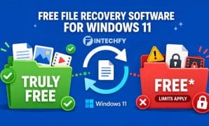 8 Free File Recovery Software for Windows 11 Compared: Which Ones Let You Recover Files Without Paying?