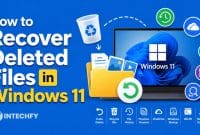 How to Recover Deleted Files in Windows 11: 8 Proven Methods That Actually Work